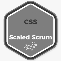 CSS SCALED SCRUM logo