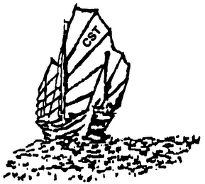 CST logo