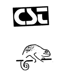 CST logo