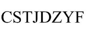 CSTJDZYF logo