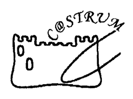 C@STRUM logo