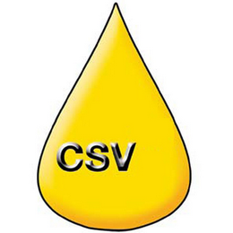 CSV logo