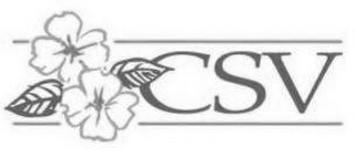 CSV logo