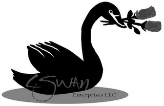 CSWAN ENTERPRISES LLC logo