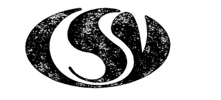 CSY logo