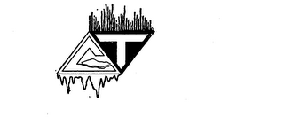 CT logo