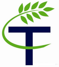 CT logo