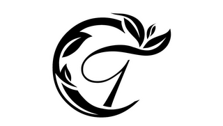 CT logo