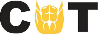 CT logo