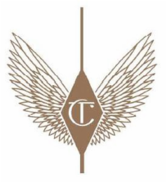 CT logo