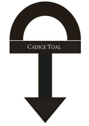 CT CADICE TOAL logo