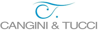 CT CANGINI & TUCCI logo