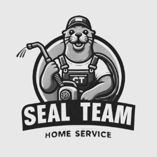 CT SEAL TEAM HOME SERVICE logo