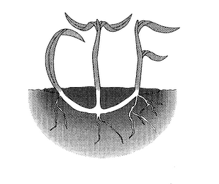 CTF logo