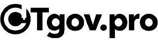 CTGOV.PRO logo