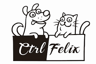 CTILFELIX logo