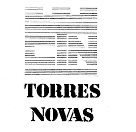 CTN TORRES NOVAS logo