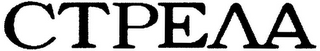 CTPEAA logo