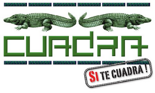 CUADRA SI TE CUADRA logo