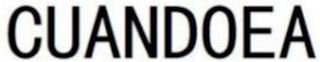 CUANDOEA logo