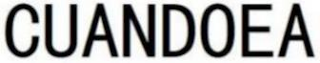 CUANDOEA logo