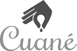 CUANÉ logo