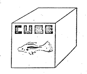 CUBE logo