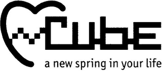 CUBE A NEW SPRING IN YOUR LIFE