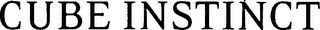 CUBE INSTINCT logo