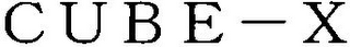 CUBE-X logo