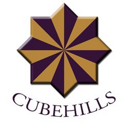 CUBEHILLS logo