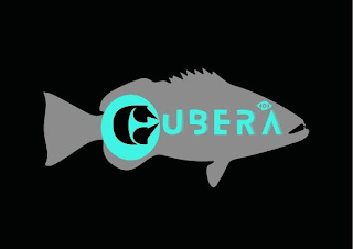 CUBERA logo
