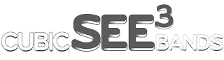 CUBIC SEE 3 BANDS logo