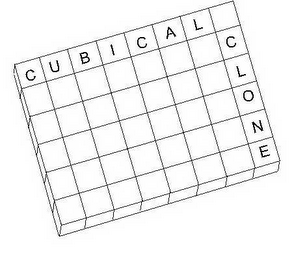 CUBICAL CLONE logo