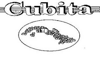 CUBITA logo