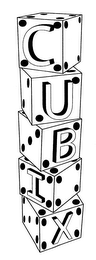 CUBIX logo