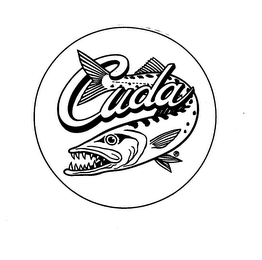 CUDA logo