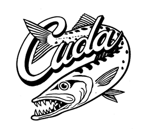 CUDA logo