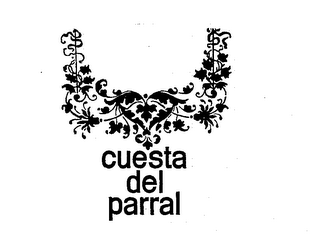 CUESTA DEL PARRAL logo