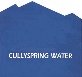 CULLYSPRING WATER logo
