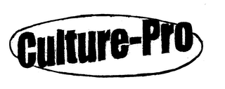 CULTURE-PRO logo