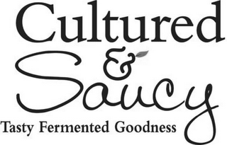 CULTURED & SAUCY TASTY FERMENTED GOODNESS logo