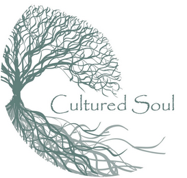 CULTURED SOUL logo