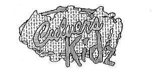CULVER'S KIDZ logo