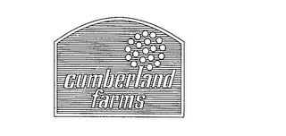CUMBERLAND FARMS logo