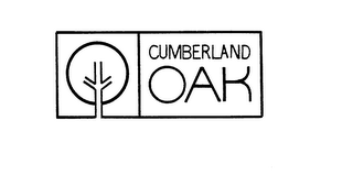 CUMBERLAND OAK logo