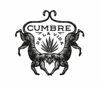 CUMBRE DE LA VIDA logo