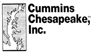 CUMMINS CHESAPEAKE, INC. logo