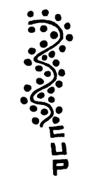 CUP logo