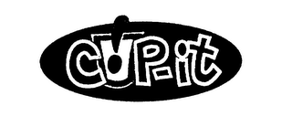 CUP-IT logo